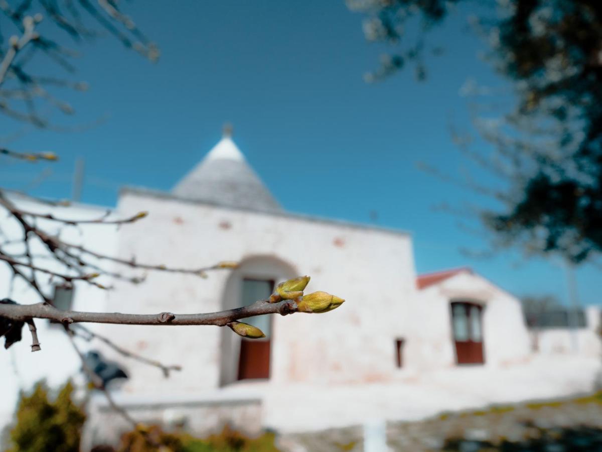 Rifugio Di Puglia - Trulli & Dimore アルベロベッロ エクステリア 写真